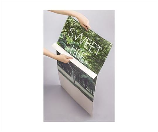 ストア・エキスプレス 屋外型フロントオープンパネル パックシート A1用 61-220-16-3 1枚（ご注文単位1枚）【直送品】