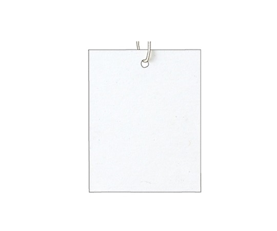 ストア・エキスプレス パック再生紙さげ札(生成糸付き) 4×5.1cm ホワイト 1セット(500枚入) 61-240-3-6 1セット（ご注文単位1セット）【直送品】