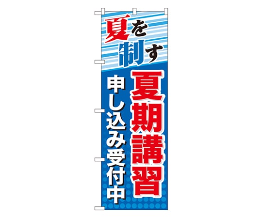 のぼり屋工房 夏期講習 申し込み受付中 のぼり GNB-70 1枚（ご注文単位1枚）【直送品】