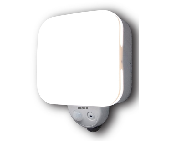 リーベックス SDカード録画式 センサーライトカメラ SD500 1個(ご注文単位1個)【直送品】