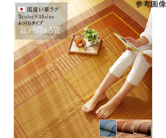 アズワン ラグ 国産 い草 ござ カーペット 『DXランクス』 ワイン 江戸間4.5畳(約261×261cm) 1080020280502 1個（ご注文単位1個）【直送品】