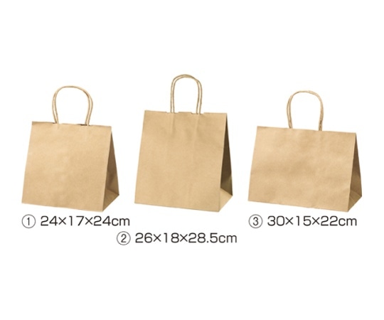 ストア・エキスプレス 持ち手付き紙袋 丸ひもタイプ 茶無地 30×15×22 入数200枚 61-431-24-15 1セット（ご注文単位1セット）【直送品】