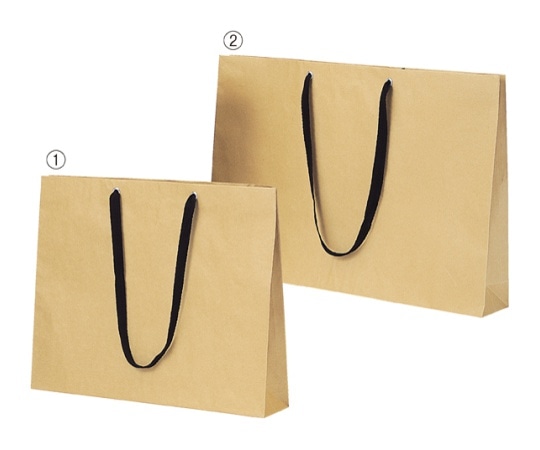 ストア・エキスプレス ショルダーバッグ ベージュ 黒ひも 60×10×42 入数50枚 61-317-8-4 1セット（ご注文単位1セット）【直送品】