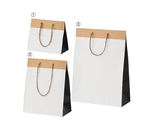 ストア・エキスプレス 持ち手付き紙袋 クラフト ブラック 28×12×38 1セット(10枚入) 61-310-4-3 1セット（ご注文単位1セット）【直送品】