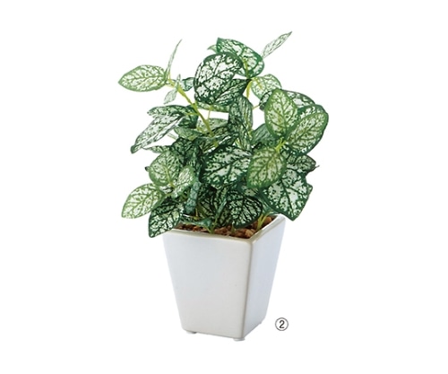 ストア・エキスプレス ミニグリーンポット(人工樹木) ペペロミア 61-174-9-2 1個(ご注文単位1個)【直送品】