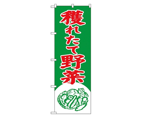 のぼり屋工房 獲れたて野菜 のぼり 2247 1枚（ご注文単位1枚）【直送品】