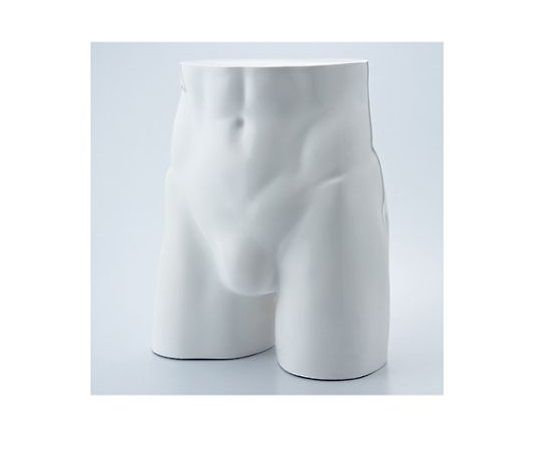 ストア・エキスプレス 紳士パンツ用卓上ディスプレー 白 61-189-12-1 1台（ご注文単位1台）【直送品】