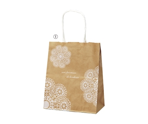 ストア・エキスプレス レースィ 手提げ紙袋 白 26×15×28 1セット(50枚入) 61-800-88-4 1セット（ご注文単位1セット）【直送品】