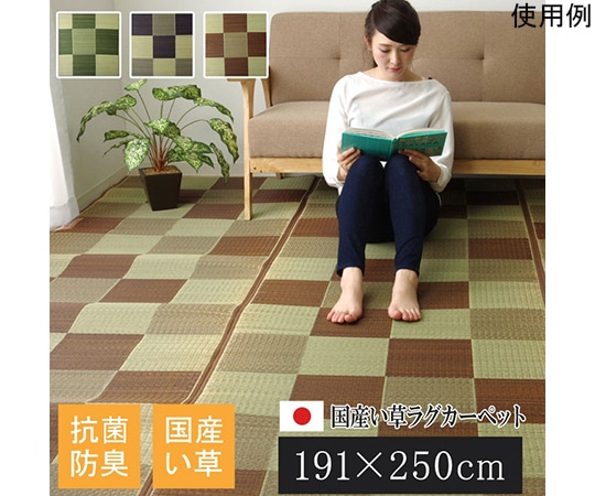 アズワン 純国産 い草ラグカーペット 『ブロック2』 ブラウン 約191×250cm 1050970063904 1個（ご注文単位1個）【直送品】