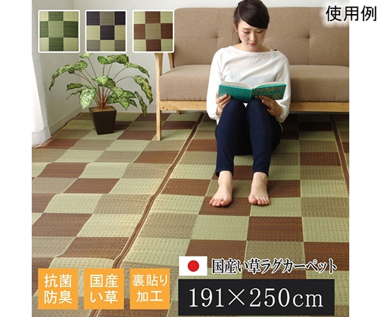 アズワン 純国産 い草ラグカーペット 『Fブロック2』 ブラウン 約191×250cm(裏:ウレタン) 1050980063904 1個（ご注文単位1個）【直送品】