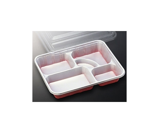 中央化学 仕出弁当 DX仕切 R-9-N透明蓋付 300枚 49189 1ケース(ご注文単位1ケース)【直送品】