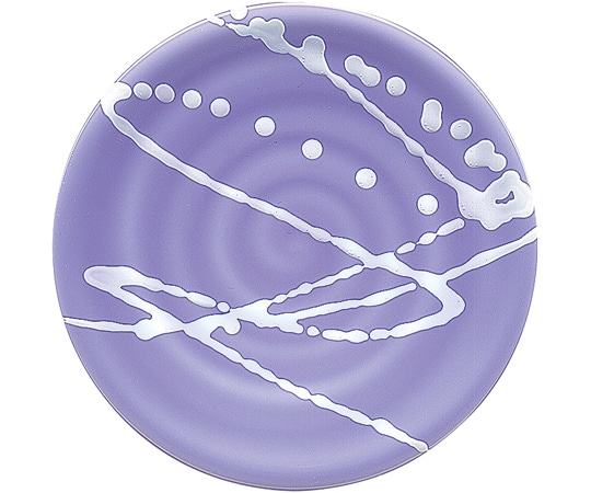 福井クラフト A)150渦巻き皿 紫 インパルス 12044570 1個（ご注文単位1個）【直送品】
