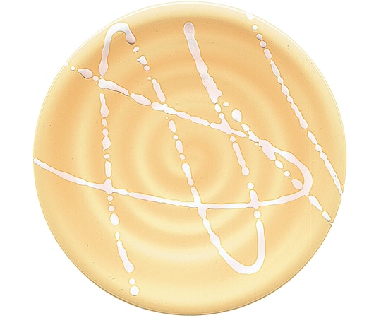 福井クラフト A)150渦巻き皿 イエロー インパルス 12044580 1個（ご注文単位1個）【直送品】