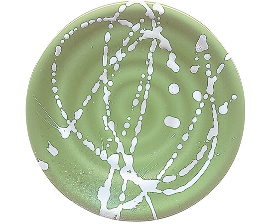 福井クラフト A)150渦巻き皿 若葉 インパルス 12044600 1個（ご注文単位1個）【直送品】