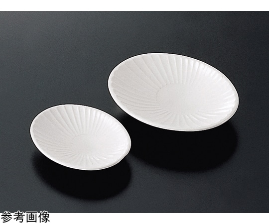 福井クラフト シェル石けん皿アイボリ白(小) 81032550 1個（ご注文単位1個）【直送品】