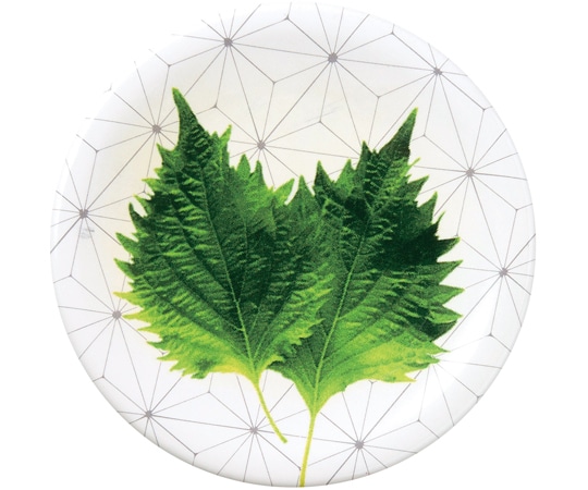 福井クラフト A150寿司皿 青しそ 74012290 1個（ご注文単位1個）【直送品】