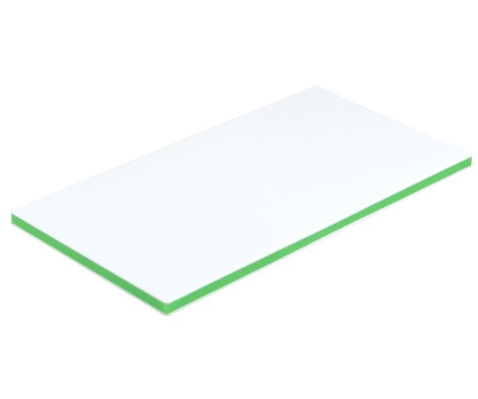 三洋化成 抗菌業務用まな板 G CKG-20SS 1枚（ご注文単位1枚）【直送品】