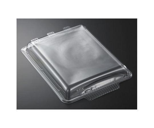 中央化学 オードブル容器 HSバット 28-36 蓋-1(PET)250枚 132456 1ケース(ご注文単位1ケース)【直送品】