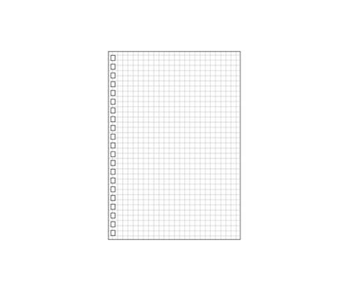 LIHITLAB ツイストリング・ノート<専用リーフ・方眼罫> 1組(30枚入) N1666S 1組(ご注文単位1組)【直送品】