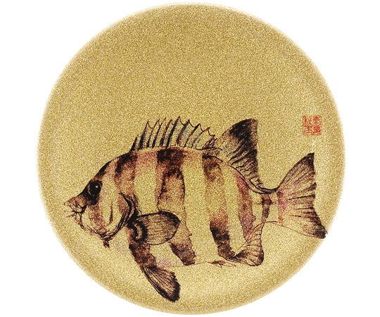 福井クラフト A150寿司皿 ゴールドパール 石鯛 13000002 1個（ご注文単位1個）【直送品】