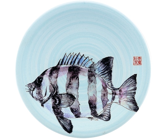 福井クラフト A150寿司皿 渦青磁 石鯛 13000041 1個（ご注文単位1個）【直送品】