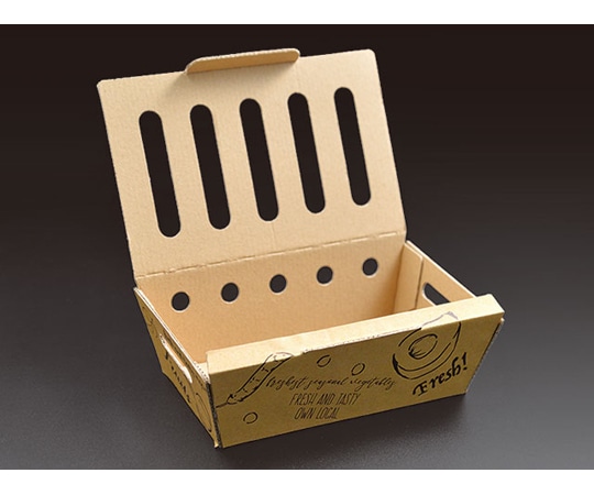 パックスタイル 青果・農産容器 ベジフルボックス 大 25枚×12パック入 641935 1ケース(ご注文単位1ケース)【直送品】