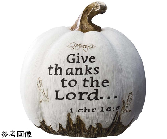 アズワン パンプキンオブジェ ホワイト かぼちゃ置物 M 37-7-2-2 1個（ご注文単位1個）【直送品】