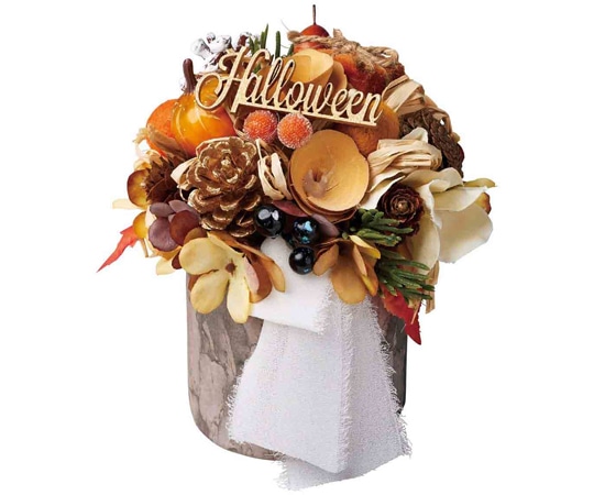 アズワン ハロウィン白樺ポット ナチュラル 37-10-8-2 1個（ご注文単位1個）【直送品】