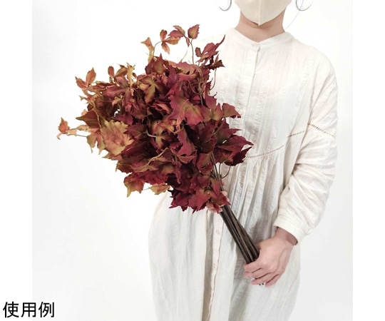 アズワン カラードグレープリーフ造花スプレー 59cm 24本 37-11-11-1 1セット（ご注文単位1セット）【直送品】