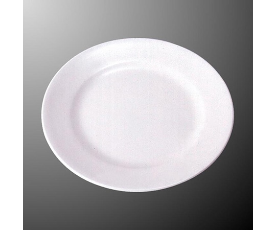 国際化工 9吋ミート皿 白 受 E 4-W 1個（ご注文単位1個）【直送品】