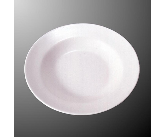 国際化工 カレー皿 白 E 6-W 1個（ご注文単位1個）【直送品】