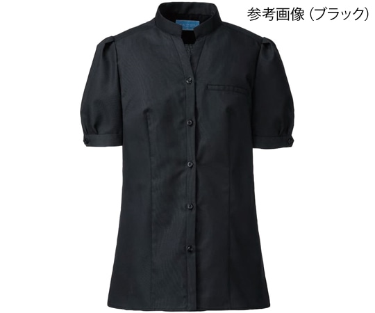 KAZEN パフスリーブブラウス ホワイト 3L 619-10 3L 1枚（ご注文単位1枚）【直送品】