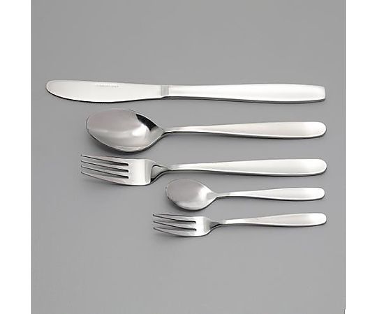 アズワン 10本組 フォーク&スプーンセット(ステンレス製) EA912WD-32 1個（ご注文単位1個）【直送品】