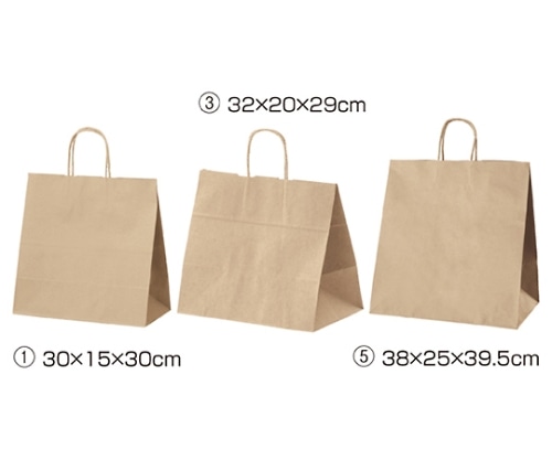 ストア・エキスプレス 持ち手付き紙袋 丸ひもタイプ 茶無地 38×25×39.5 入数200枚 61-431-24-20 1セット（ご注文単位1セット）【直送品】