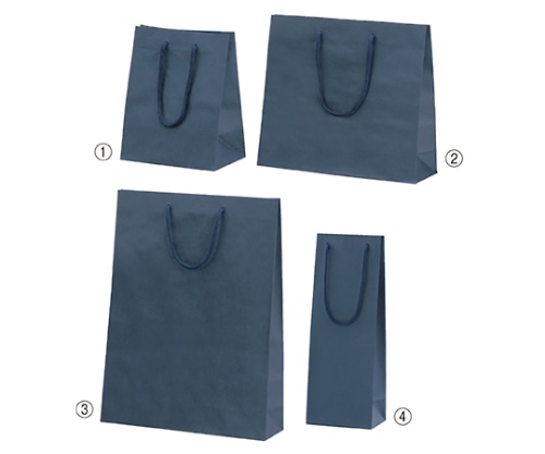 ストア・エキスプレス カラー手提げ紙袋 紺 33×10×45 入数100枚 61-313-4-7 1セット（ご注文単位1セット）【直送品】