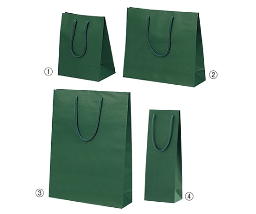 ストア・エキスプレス カラー手提げ紙袋 グリーン 33×10×45 入数100枚 61-313-5-7 1セット（ご注文単位1セット）【直送品】