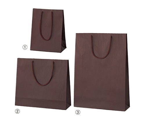 ストア・エキスプレス カラー手提げ紙袋 ブラウン 33×10×29 入数100枚 61-313-6-6 1セット（ご注文単位1セット）【直送品】