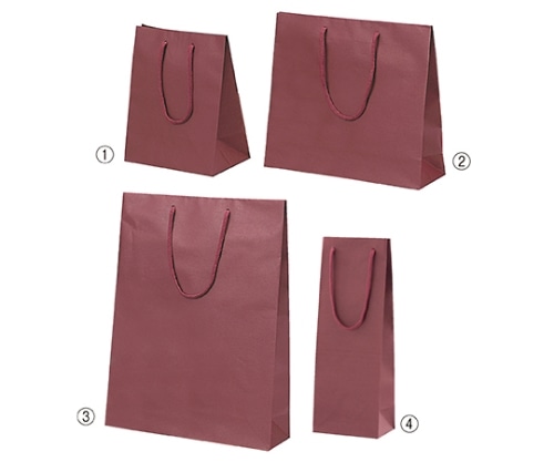 ストア・エキスプレス カラー手提げ紙袋 エンジ 33×10×29 入数100枚 61-313-7-6 1セット（ご注文単位1セット）【直送品】