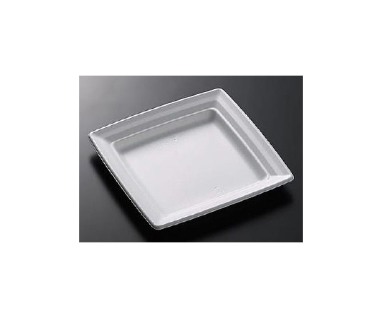 中央化学 惣菜容器 CT沙楽 K20-20 W 身 600枚 19356 1ケース(ご注文単位1ケース)【直送品】