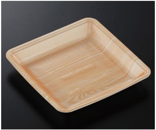 中央化学 トレーCN20-20FF 木曽内(L)1200枚 229641 1ケース(ご注文単位1ケース)【直送品】