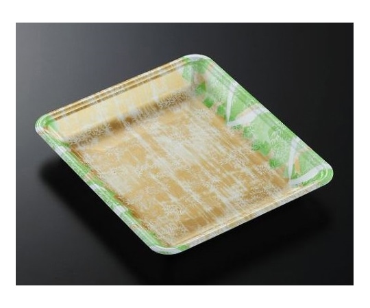 中央化学 トレーCN20-23FF四織GN内(L)900枚 348508 1ケース(ご注文単位1ケース)【直送品】