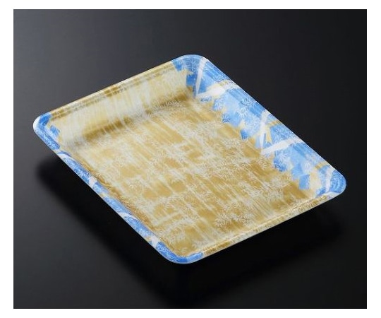 中央化学 トレーCN20-25FF 四織B内 900枚 349530 1ケース(ご注文単位1ケース)【直送品】