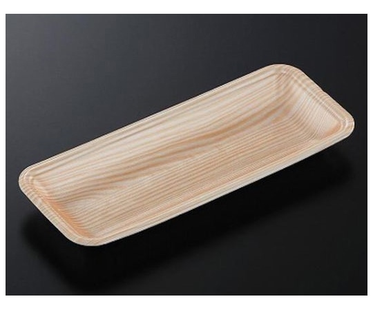 中央化学 トレーCN25-10E 木曽内(L)2100枚 234401 1ケース(ご注文単位1ケース)【直送品】