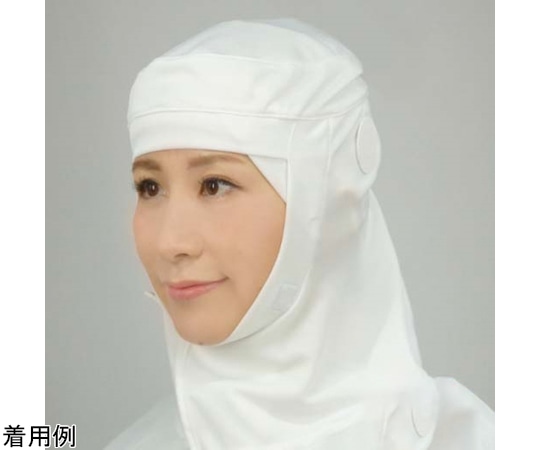 日本フィットフード フィットフード エポックメイキングバージョン マスク掛け付き ホワイト M 30枚入 FH401WM 1箱(ご注文単位1箱)【直送品】