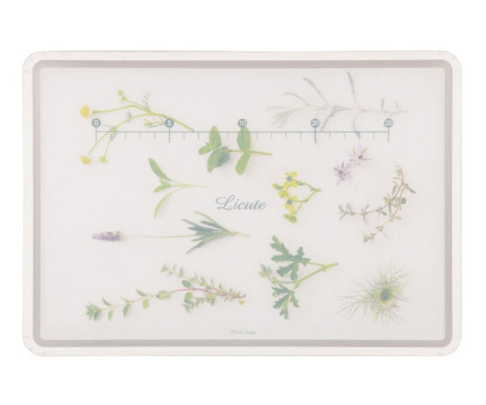 パール金属 Licute 軽くて滑りにくいまな板 ハーブストーリー C-1235 1枚（ご注文単位1枚）【直送品】