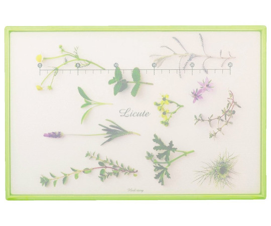 パール金属 Licute 軽くて滑りにくいまな板 L ハーブストーリーG C-1242 1枚（ご注文単位1枚）【直送品】