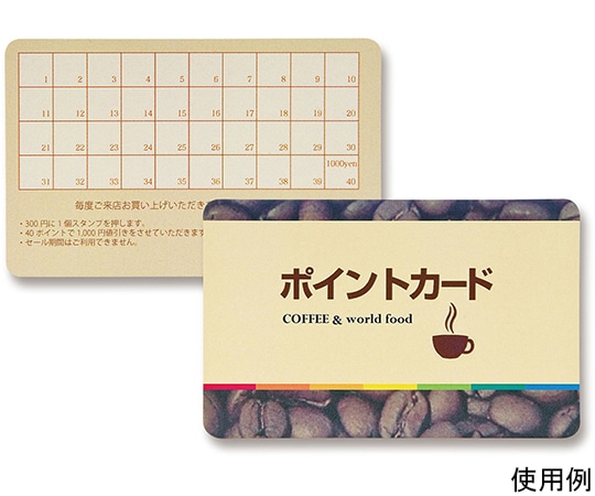 サンワサプライ レーザープリンタ用プラスチックカード LBP-ID01 1セット(ご注文単位1セット)【直送品】