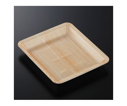 中央化学 トレーCN20-23FF 木曽内(L)900枚 230169 1ケース(ご注文単位1ケース)【直送品】