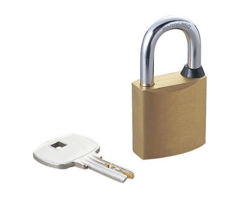 エレコム ESL-RPD対応 南京錠 ディンプルキー仕様 ESL-NKD 1パック(ご注文単位1パック)【直送品】