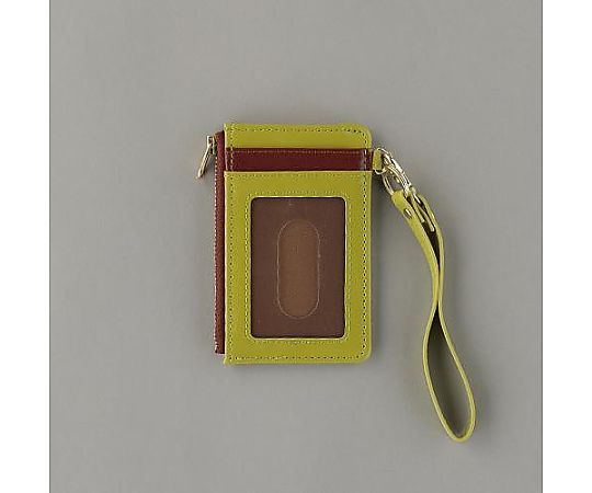 アズワン カードホルダー(ストラップ付/グリーン) EA956VA-613 1個(ご注文単位1個)【直送品】